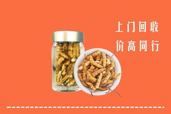 威信县回收冬虫夏草